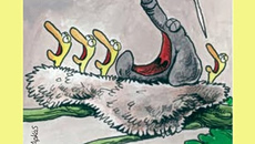 Αρκάς: Η «καλημέρα» της Παρασκευής