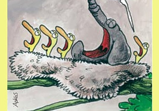 Αρκάς: Η «καλημέρα» της Παρασκευής