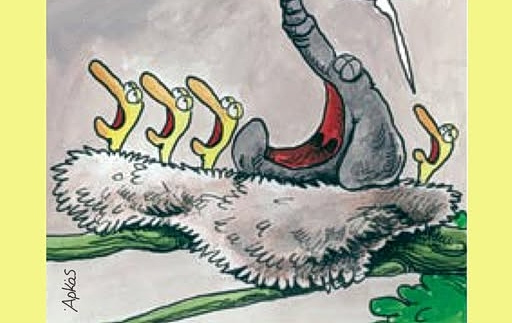 Αρκάς: Η «καλημέρα» της Παρασκευής