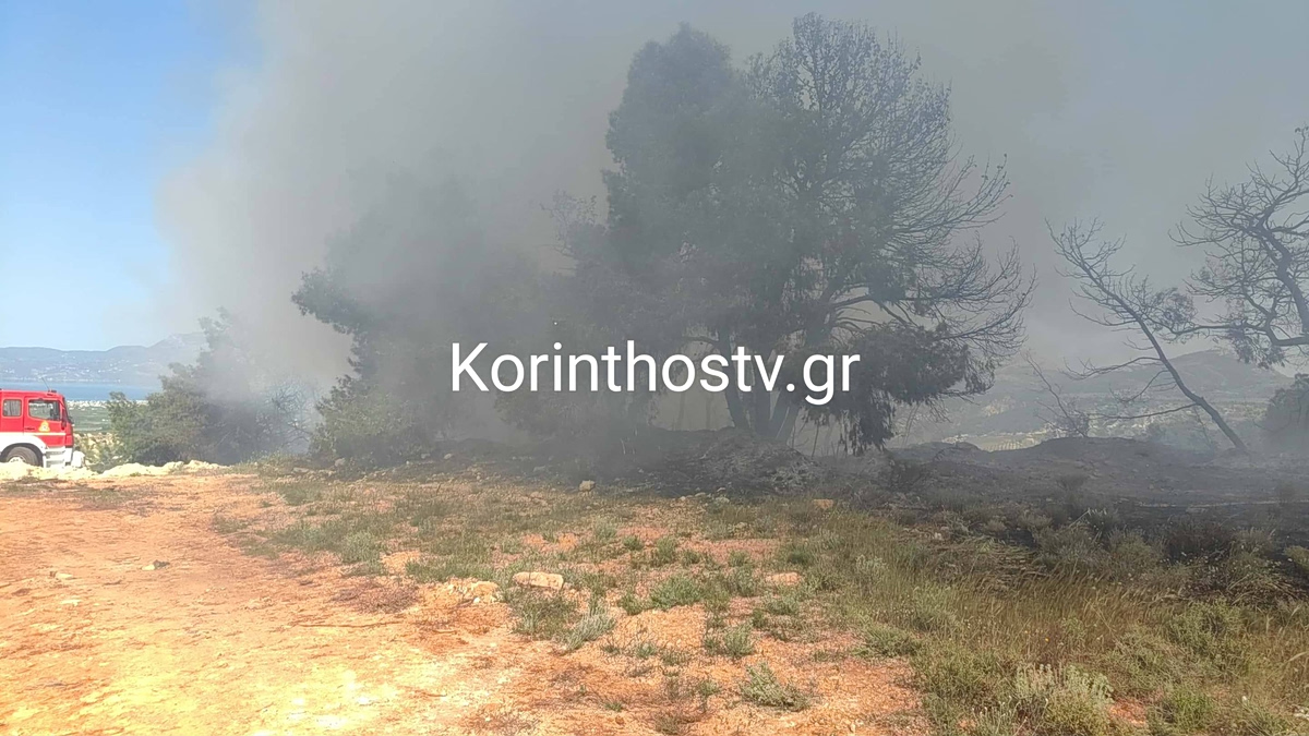 Κορινθία: Συναγερμός για φωτιά σε πευκοδάσος στο Ζευγολατιό – Μεγάλη κινητοποίηση της Πυροσβεστικής