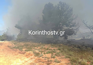 Κορινθία: Συναγερμός για φωτιά σε πευκοδάσος στο Ζευγολατιό – Μεγάλη κινητοποίηση της Πυροσβεστικής