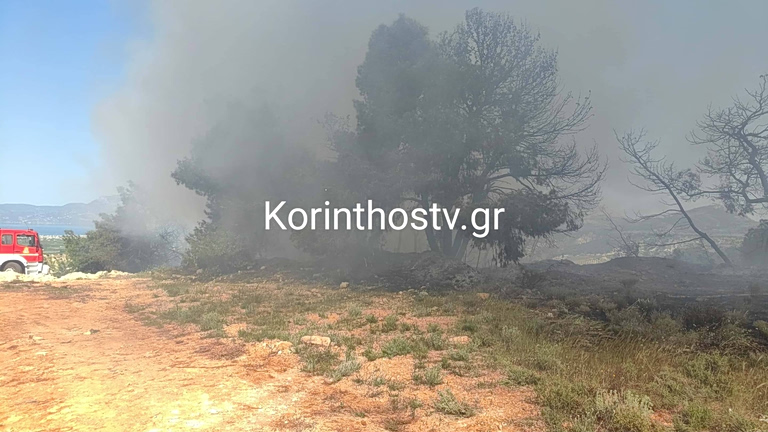 Κορινθία: Συναγερμός για φωτιά σε πευκοδάσος στο Ζευγολατιό – Μεγάλη κινητοποίηση της Πυροσβεστικής