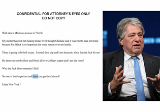 Λέον Μπλακ: Παραποιημένα στοιχεία «βλέπει» η δικαστής – εκτός δίκης κρίσιμα ημερολόγια