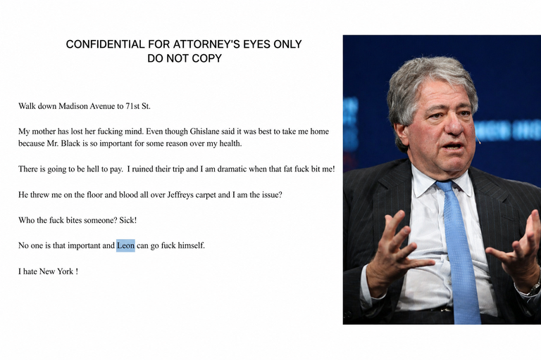 Λέον Μπλακ: Παραποιημένα στοιχεία «βλέπει» η δικαστής - εκτός δίκης κρίσιμα ημερολόγια