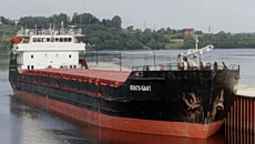 Ρωσία: Ένας νεκρός και δύο αγνοούμενοι μετά από βύθιση πλοίου που μετέφερε σιτάρι στην Αζοφική Θάλασσα