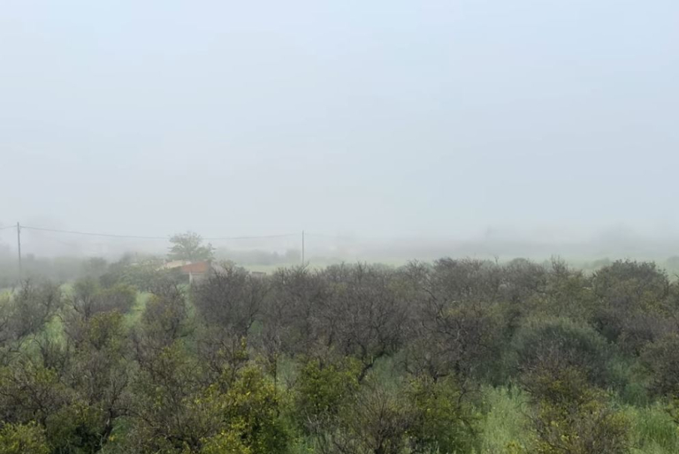 Σπάρτη: «Εξαφανίστηκε» ο Ταΰγετος λόγω πυκνής ομίχλης