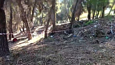 Χαλκιδική: Θρίλερ με τη σορό σε βαλίτσα – Η κραυγή μέσα στη νύχτα, η βέρα στο χέρι και η σοκαριστική μαρτυρία