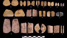 Είναι αυτά τα αρχαιότερα ζάρια του κόσμου;