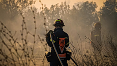 Ακράτα: Καλύτερη η εικόνα από τη φωτιά που ξέσπασε το Σάββατο στην Άμπελο – Δεν απειλούνται σπίτια