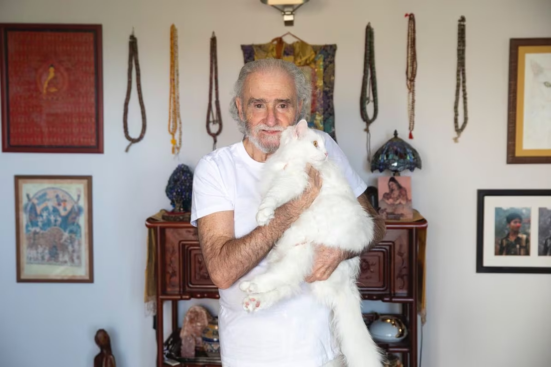 «Οι γάτες είναι φυσικοί γιόγκι. Μπαίνουν σε καταστάσεις έκστασης με το βλέμμα στο άπειρο»