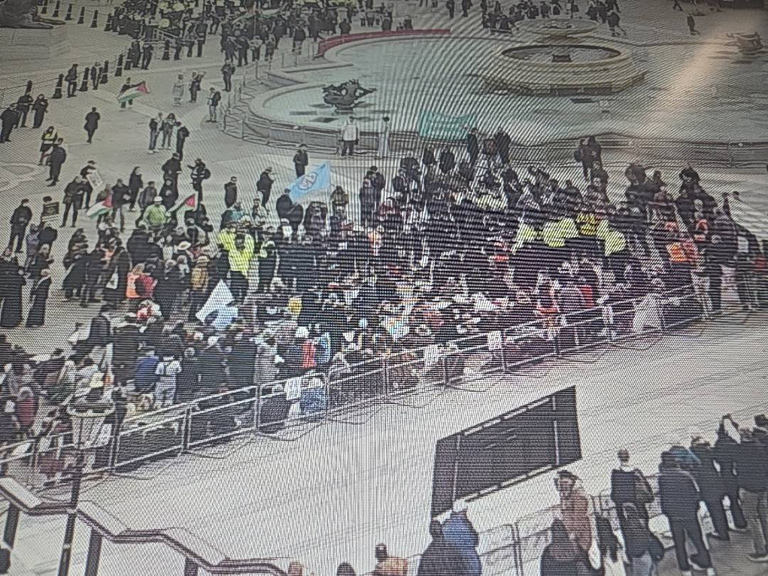 Λονδίνο: Τουλάχιστον 212 συλλήψεις σε διαδήλωση υπέρ της Palestine Action