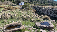 M.A.T.C.H Athens: Δύο ημέρες οικολογίας, τέχνης και έρευνας στο Βύρωνα