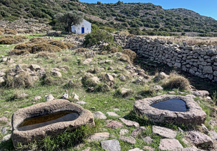 M.A.T.C.H Athens: Δύο ημέρες οικολογίας, τέχνης και έρευνας στο Βύρωνα