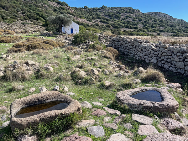 M.A.T.C.H Athens: Δύο ημέρες οικολογίας, τέχνης και έρευνας στο Βύρωνα