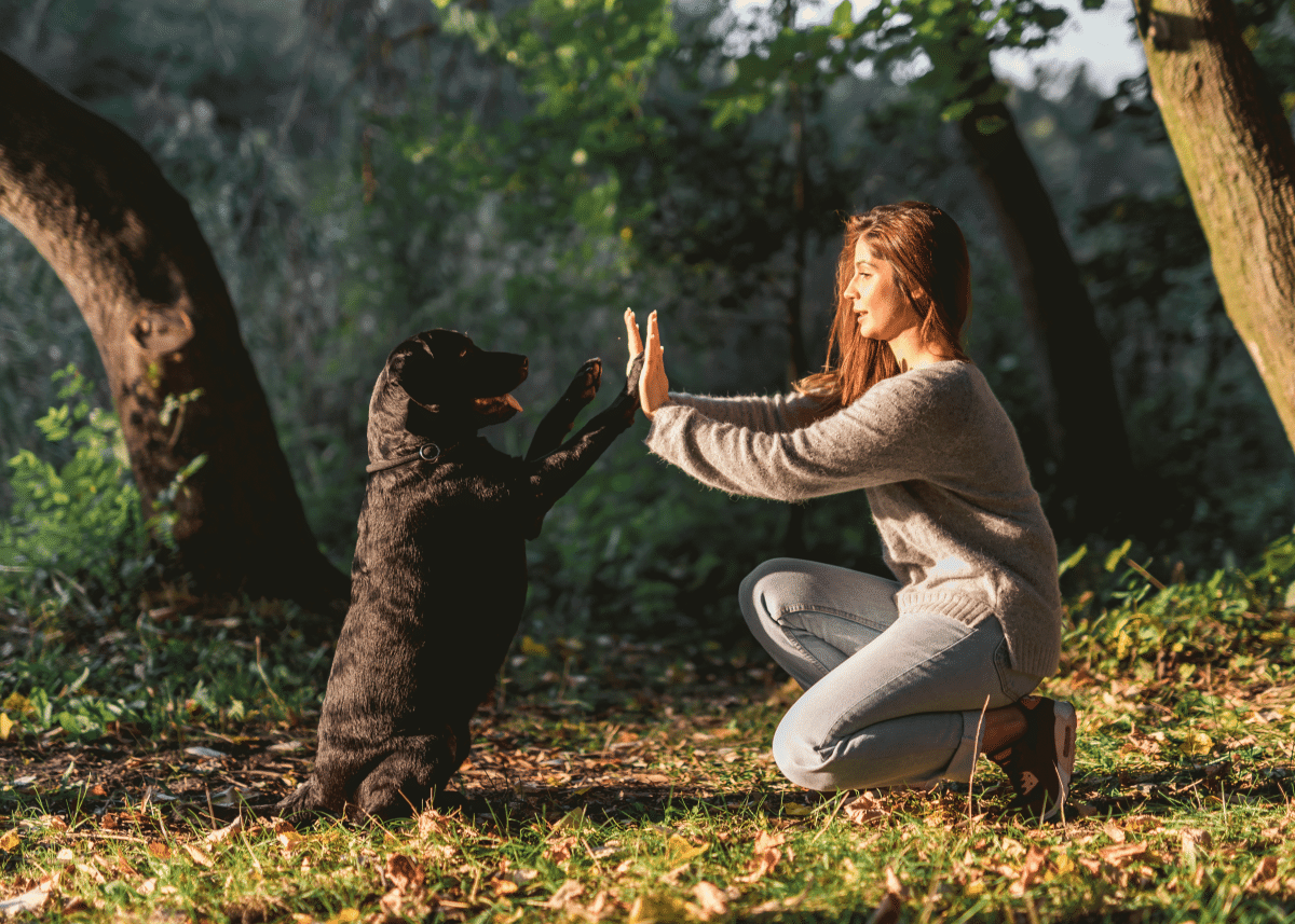 Σκύλος: Πώς μπορούμε να… ανοίξουμε διάλογο μαζί του
