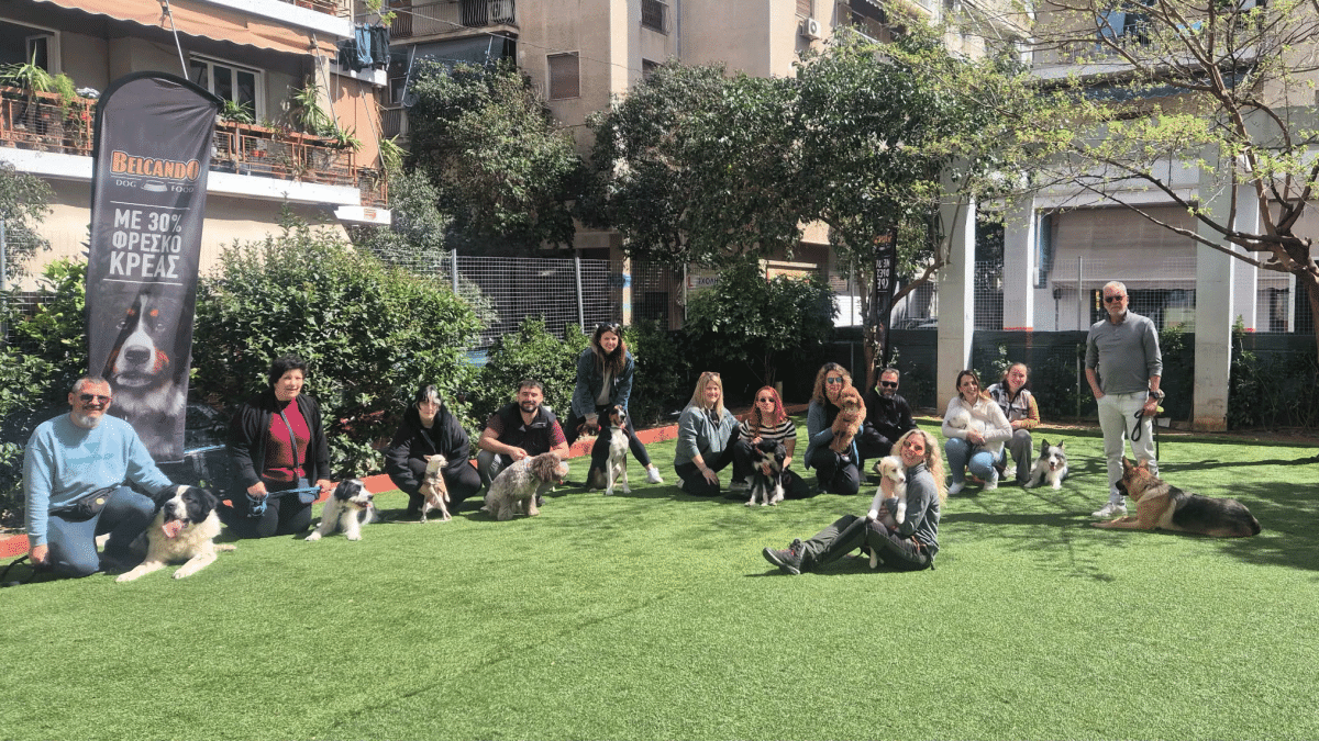 Γιατί τα ομαδικά μαθήματα είναι σημαντικά για τον σκύλο