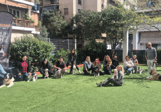 Γιατί τα ομαδικά μαθήματα είναι σημαντικά για τον σκύλο