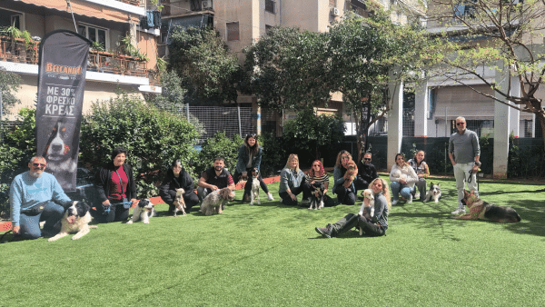 Γιατί τα ομαδικά μαθήματα είναι σημαντικά για τον σκύλο