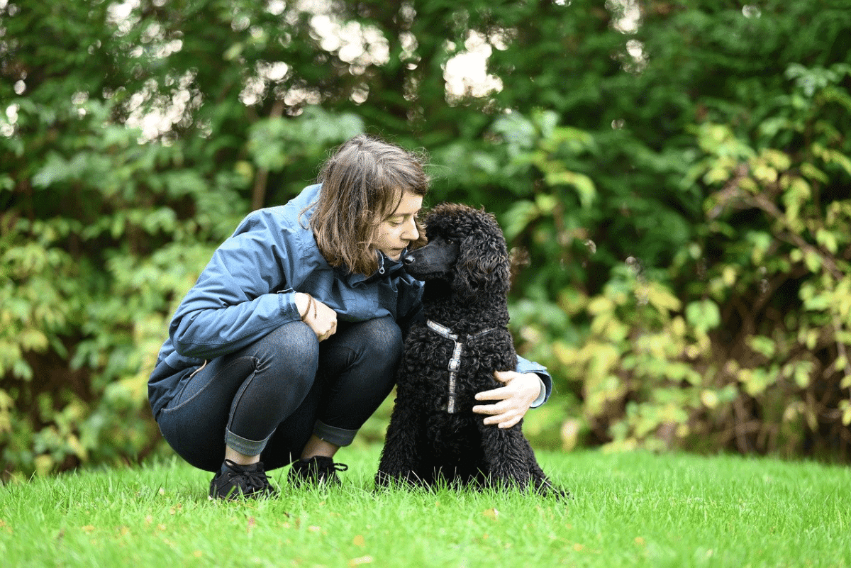 Ποια είναι η ευθύνη του ανθρώπου στη διαμόρφωση της συμπεριφοράς του σκύλου