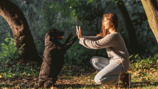 Σκύλος: Πώς μπορούμε να… ανοίξουμε διάλογο μαζί του