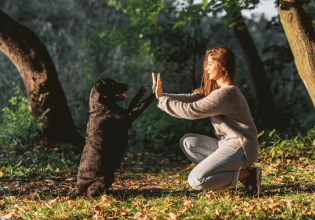 Σκύλος: Πώς μπορούμε να… ανοίξουμε διάλογο μαζί του