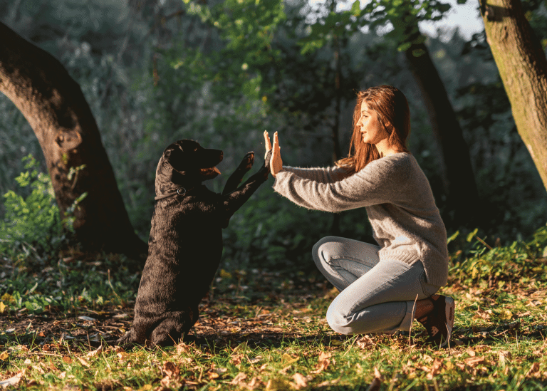 Σκύλος: Πώς μπορούμε να… ανοίξουμε διάλογο μαζί του