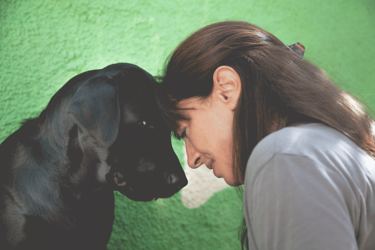 Πώς αντιλαμβάνεται την πραγματικότητα ο σκύλος; – Η δύναμη της όσφρησης