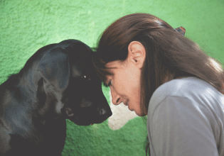 Πώς αντιλαμβάνεται την πραγματικότητα ο σκύλος; – Η δύναμη της όσφρησης