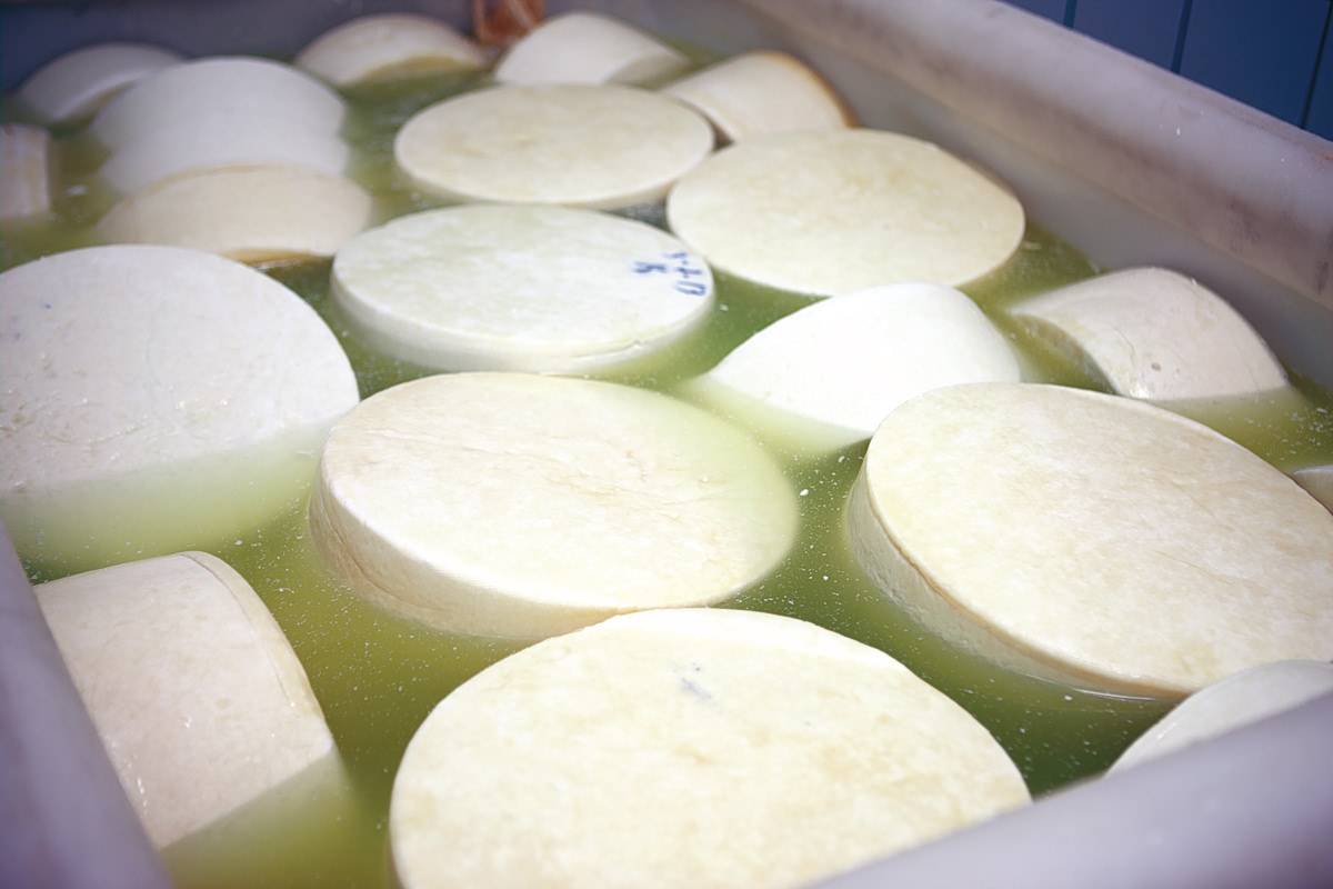 Λέσβος: Ανοίγουν τα τυροκομεία του νησιού – Από σήμερα οι παραλαβές γάλακτος