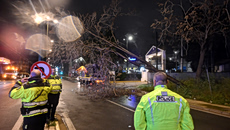 Ξεκίνησαν οι πρώτες αυτοψίες στις περιοχές που έπληξε σφοδρά η κακοκαιρία Erminio