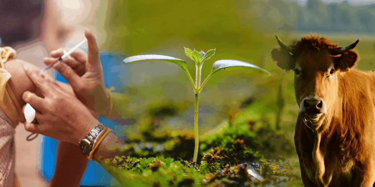 Μία και ενιαία η υγεία για ανθρώπους ζώα και περιβάλλον