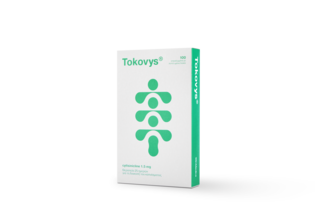 Η γενιά που μεγάλωσε με τσιγάρο αλλάζει σελίδα – και μιλά για το TOKOVYS