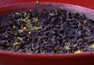 Συνταγή: Ριζότο με μελάνι σουπιάς