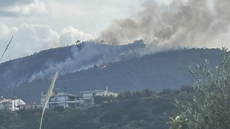 Συνελήφθη 51χρονος για την φωτιά στην Ακράτα - Σε ύφεση το πύρινο μέτωπο