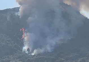 Μεγάλη φωτιά στην Ακράτα – Ήχησε το 112 για εκκένωση στην Άνω Πορόβιτσα
