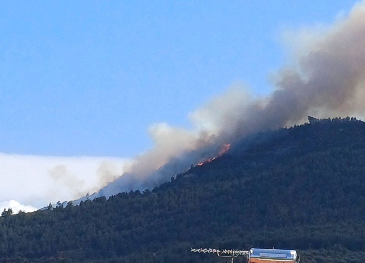 Μεγάλη φωτιά σε δάσος στην Ακράτα – Μεγάλη κινητοποίηση της Πυροσβεστικής