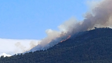 Μεγάλη φωτιά σε δάσος στην Ακράτα – Μεγάλη κινητοποίηση της Πυροσβεστικής