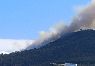 Μεγάλη φωτιά σε δάσος στην Ακράτα