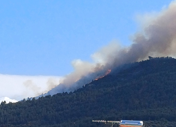 Μεγάλη φωτιά σε δάσος στην Ακράτα – Μεγάλη κινητοποίηση της Πυροσβεστικής