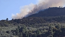 Μεγάλη φωτιά στην Ακράτα – Ήχησε το 112 για εκκένωση στην Άνω Πορόβιτσα