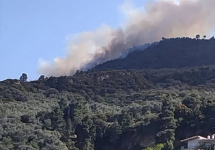 Μεγάλη φωτιά στην Ακράτα – Ήχησε το 112 για εκκένωση στην Άνω Πορόβιτσα