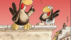 Αρκάς: Η καλημέρα της Πέμπτης