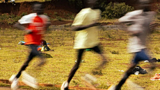 Ο Γιώργος Παπασταμούλος συνδέει την Αθήνα με τους Κενυάτες δρομείς σε ένα ντοκιμαντέρ στα 2.500 μ. υψόμετρο