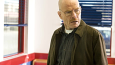 Τι κάνουν 60.000 μέλισσες πάνω στο σώμα του Μπράιαν Κράνστον;