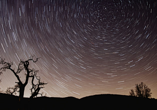 Άκρως Ζωδιακό: Τα Do’s και τα Don’ts του μήνα [Μάιος 2026]