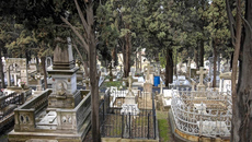 Πέταξαν σορούς 50 βρεφών και 6 ενηλίκων σε νεκροταφείο στο Τρινιντάντ και Τομπάγκο