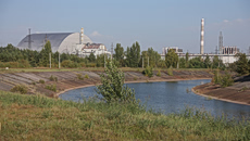 Τσερνόμπιλ: Καλλιεργούσαν για χρόνια καλαμπόκι και σιτάρι στη Ζώνη Αποκλεισμού