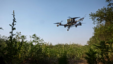 Οι Ουκρανοί χτύπησαν εργοστάσιο λιπασμάτων στη ρωσική περιφέρεια Βόλογκντα