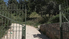 «Δεν είπε ούτε λέξη, μας χτύπησε και έφυγε» – Τι λένε στο in τα θύματα της επίθεσης στου Φιλοπάππου