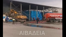 Φωτιά σε εργοστάσιο βάμβακος στη Λιβαδειά